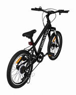 Chanty MTB 20
