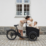 Chanty Cargo City Bike Electric
